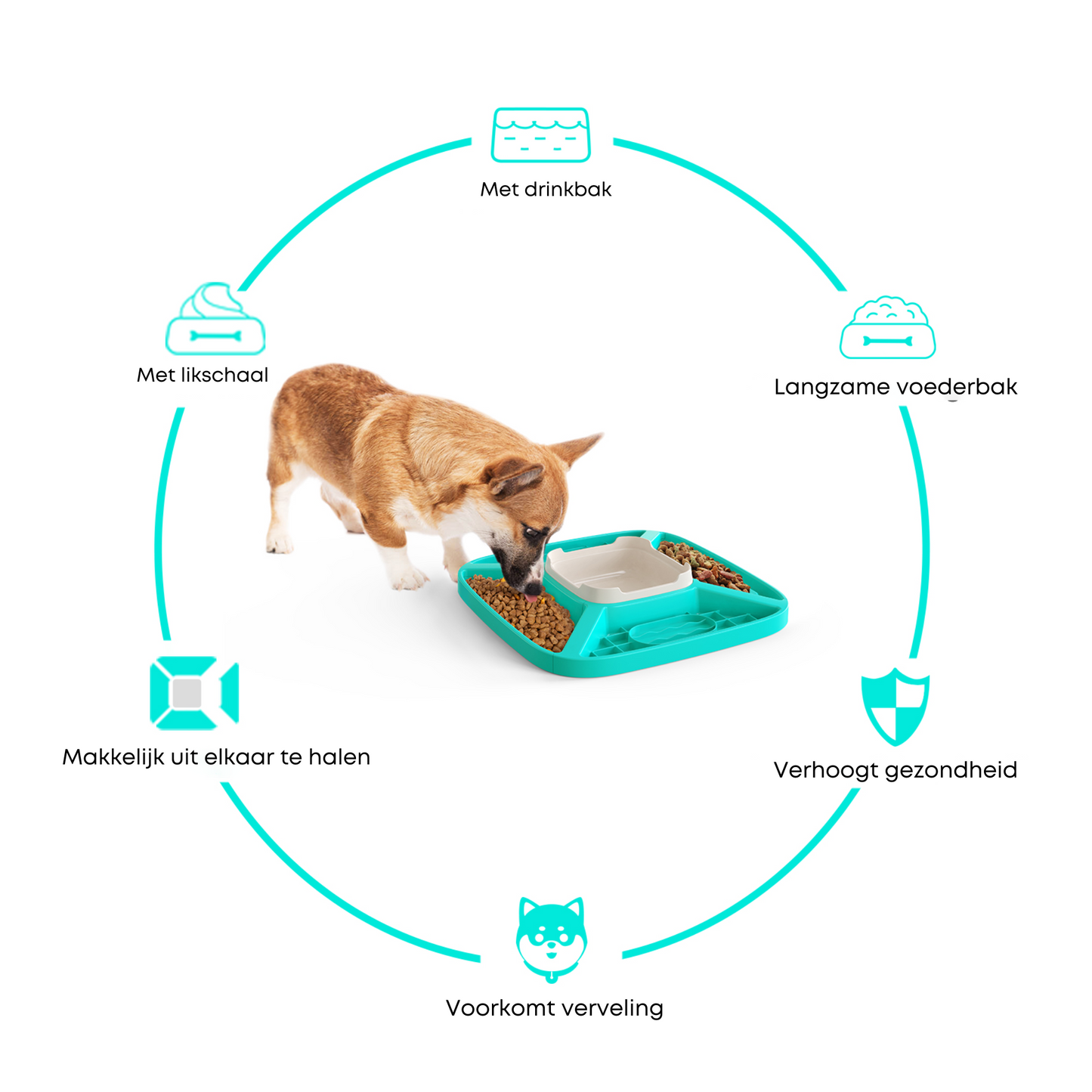 Honden Voerbak Met Eetschaal Middel Grote & Grote Honden Wit (2 In 1)