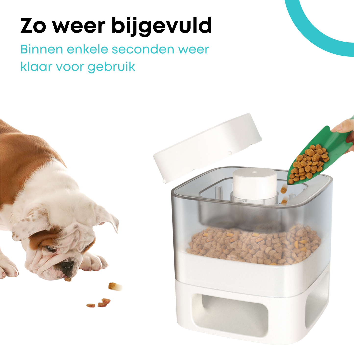 Honden Voerbak Middel Grote & Grote Honden Wit