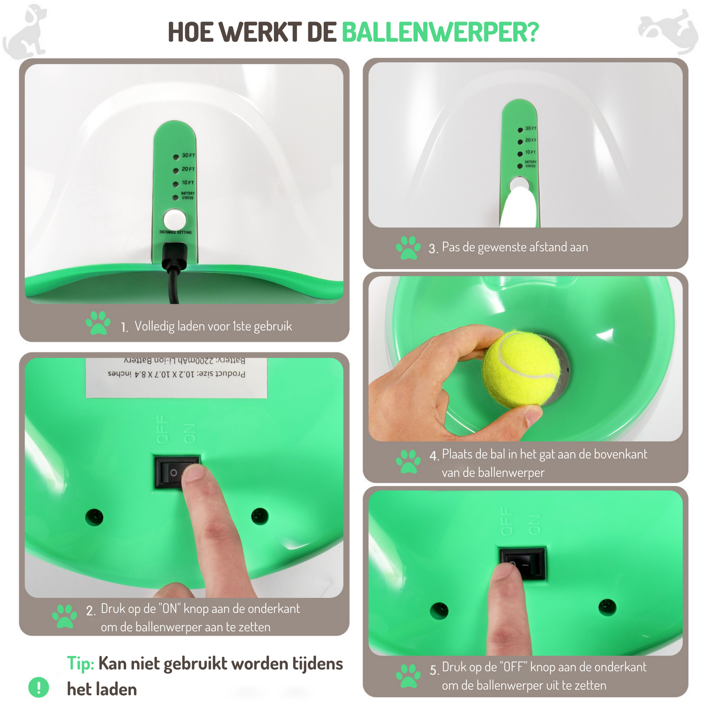 Honden Ballenwerper Kleine & Middel Grote Honden Groen