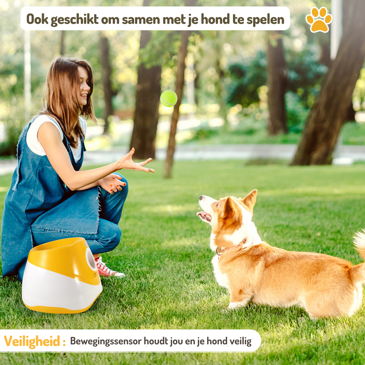 Honden Ballenwerper Kleine & Middel Grote Honden Geel