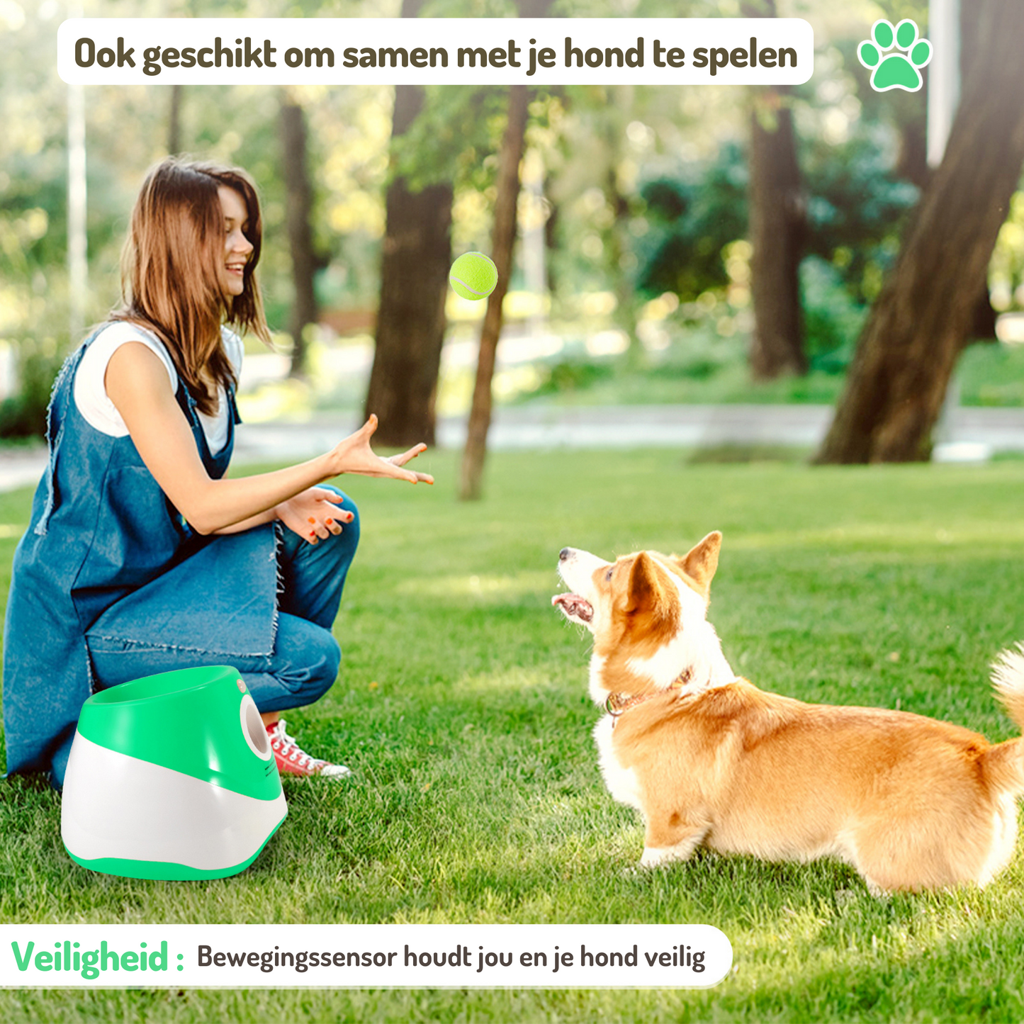 Honden Ballenwerper Kleine & Middel Grote Honden Groen